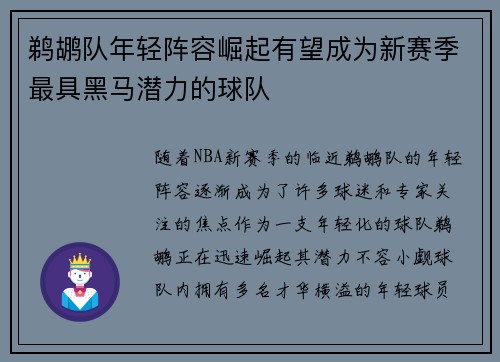 鹈鹕队年轻阵容崛起有望成为新赛季最具黑马潜力的球队