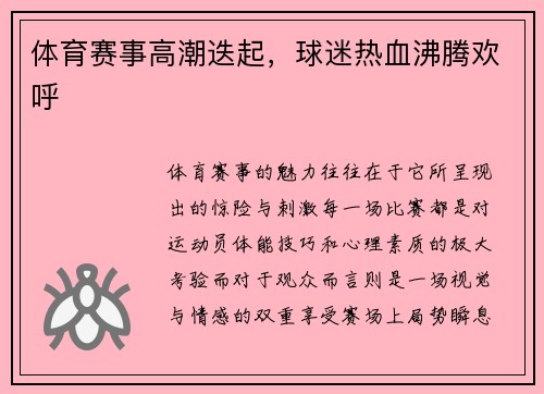 体育赛事高潮迭起，球迷热血沸腾欢呼